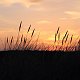 IMG16380